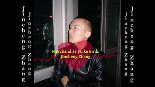 Jincheng Zhang  Microbe I Like Birds Official Audio [upl. by Ehav]