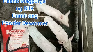 PANO MAG PURGA NG BIIK GAMIT ANG POWDER DEWORMERLATIGO 1000 [upl. by Swor]