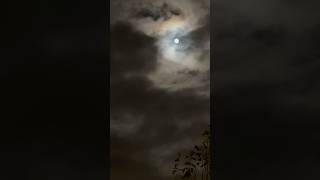 🌙 Beaver Moon timelapse moonscape night viral [upl. by Ardnuat939]