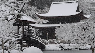 岐阜県内各地で大雪 岐阜市でも初積雪 ２４日の各地を動画で振り返る [upl. by Aivin407]