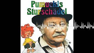 09b  Der große Krach und seine Folgen  PUMUCKLs Sturschädel  Das SerienReview [upl. by Adnilemreh]