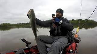 Lake Conroe Stubblefield Bass Fishing [upl. by Nisior]