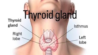 thyroid gland viral trending YouTube [upl. by Durst]