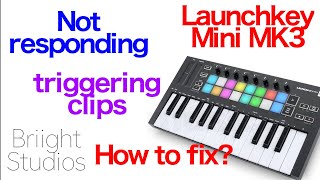 Launchkey Mini mk3 not working with ableton triggering clips quick fix midi controller help [upl. by Khai231]