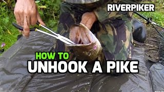 How to unhook a pike  tutorial [upl. by Widera362]