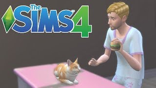 IK BEN DIERENARTS  The Sims 4 Honden en Katten 2 [upl. by Nahsab108]