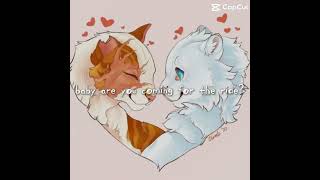 Cloud and Bright are so cute ♥️ brightheart cloudtail warriors warriorcats shorts [upl. by Rihat]