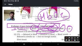 lecture 5th MECHANISM Of respiration by MOJEEB sir [upl. by Boehike]