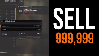 What Happens If You Try To Sell 999999 Pouches To The Trader In Dying Light [upl. by Ardyth671]