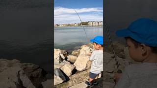 Fishing Adelaide South Australia fishingvideo fishingvlog fishingaustralia fishing fishingtrip [upl. by Jareb]