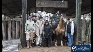 La Ruta del Caballo Chileno por Sudamérica Cap1 Cabaña La Escondida [upl. by Emrich]