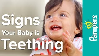 Baby Teething Symptoms Signs amp Timeline  Pampers Teething Tips [upl. by Binky]