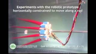 Octopusinspired Eightarm Robotic Swimming by Sculling [upl. by Oflunra916]