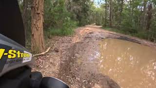 2017 Suzuki V Strom 650 XT offroad test with Michelin Anakee Adventure Tyres Ourimbah State Forest [upl. by Nabi]