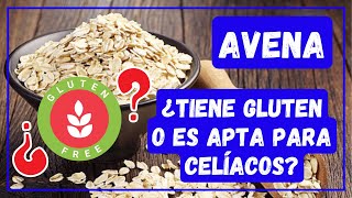 AVENA ¿TIENE GLUTEN O ES APTA PARA CELÍACOS 🟢 [upl. by Lessirg]