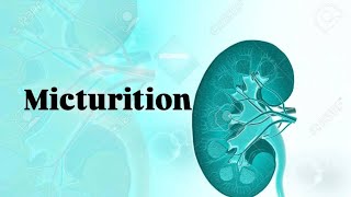 Micturition urinary system [upl. by Zobe]