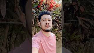 Nahorore Pate Pate😍 ytshorts shorts viral assam youtubeshortsvideos assamessong viralvideos [upl. by Ylrahc460]