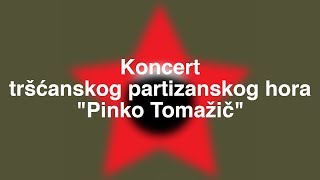 Koncert tršćanskog partizanskog hora quotPinko Tomažičquot u Kombank dvorani [upl. by Ranie]