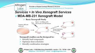 Altogen Labs MDAMB231 Xenograft Service Breast Cancer [upl. by Billi]