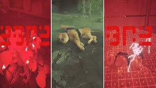 All Cat Death and Hurt Stray Gameplay [upl. by Biddick]