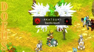 DOFUS TOUCH  1  Regresó de SacritoTouch Mis derrotas😂🙏🏻❤️ [upl. by Paugh399]