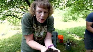 Kitchen to Garden  Composting 101 [upl. by Minnaminnie973]