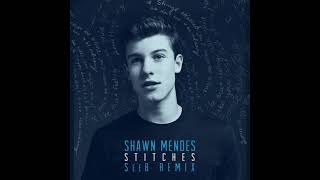 Shawn Mendes  Stitches Seeb Remix Instrumental [upl. by Alehtse495]