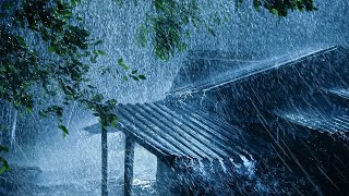 Best Rain Sounds for Sleeping  Sleep Instantly with Heavy Rain amp Thunder Sounds Meditation amp Study [upl. by Flo]