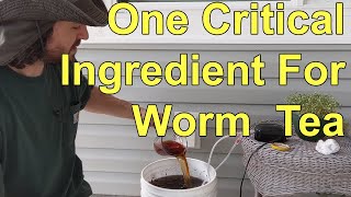 Dont Forget This Critical Ingredient When Brewing Worm Compost Tea [upl. by Laurella]