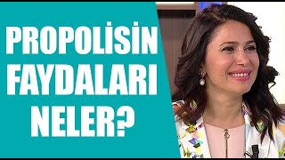 Propolisin faydaları neler Propolis nasıl tüketilmelidir [upl. by Nanek]