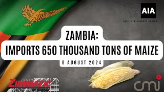 Zambia Imports 650 Thousand Tons of Maize  8 August 2024 [upl. by Aihsatsan136]