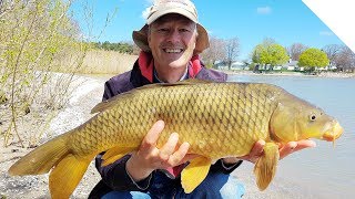 Shore Fishing for Carp  A Simple Setup for Easy Results  Boatless Angler [upl. by Aihsirt]