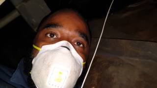 Do It Yourself Mold Remediation [upl. by Burrus]