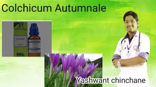 Colchicum Autumnale Homoeopathic drug picrureMeadow Saffron [upl. by Cedar]