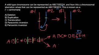 Translocation Paracentric inversion Pericentric inversion [upl. by Tombaugh776]