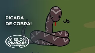 Picada de Cobra [upl. by Hsitirb]