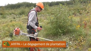 ARFPA  Le dégagement de plantation [upl. by Immanuel]