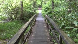 Hiking The Appalachian Trail Chattahoochee National Forest  Dahlonega Georgia [upl. by Athiste575]