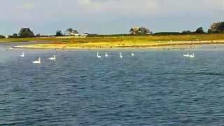 Ausfahrt Yachthafen Heiligenhafen vorbei am Graswarder von Heiligenhafen auf die weite Ostsee [upl. by Eniamahs]