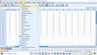 Statistik Deskriptif Berdasarkan Jawaban Responden dengan SPSS [upl. by Savina673]