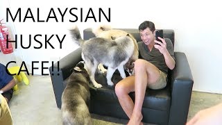 HUSKY CAFE IN MALAYSIA Huskiss Cafe in Kelana Jaya [upl. by Nauqad]