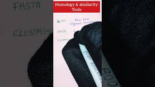 bioinformatic tools Homology and similarity tools bioinformatics [upl. by Erodisi]