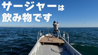 こんなに魚が釣れるルアー他にある？ English한국어中文 [upl. by Nadnal]