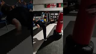 Free Standing Punching Bag Explosive Jump Kicks  Step Through Jump Back Kick 💥 kickboxing mma [upl. by Nahaj]