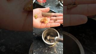 Indian masala tea recipe  ginger tea  viral masala tea  winter tea chai morning refreshing [upl. by Nodrog]