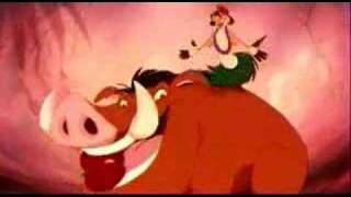 Lion King  Timon and Pumbaa Hula Dance [upl. by Ahasuerus]