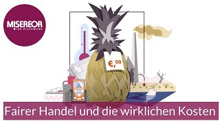 OnlineSeminar Fairer Handel und die wirklichen Kosten [upl. by Dlarrej]