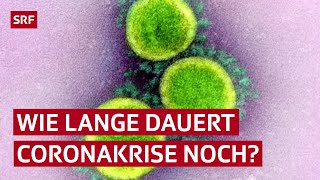 Wie lange müssen wir noch warten Szenarien zum Coronavirus  Erklärvideo  SRF News [upl. by Ushijima]