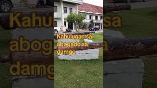 Kahulugan sa abogado sa damgo abogado hubadsaabogadosadamgo kahulugansaabogadosadamgo [upl. by Jacobson]