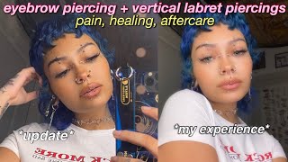 eyebrow piercing  vertical labret piercing update ♡ experience pain healing amp aftercare [upl. by Patman933]